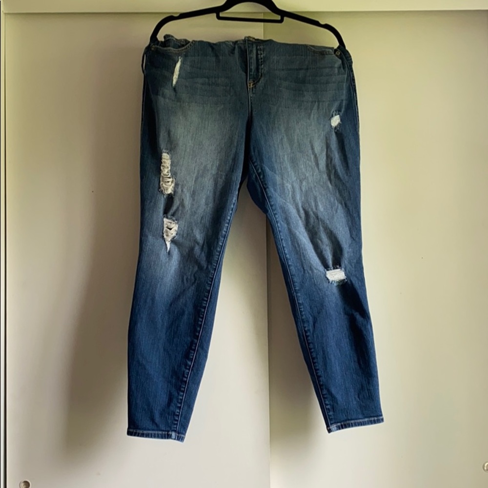 Torrid Jegging Denim Jeans